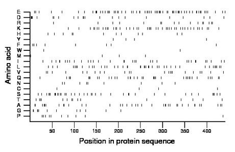 amino acid map