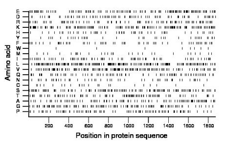 amino acid map