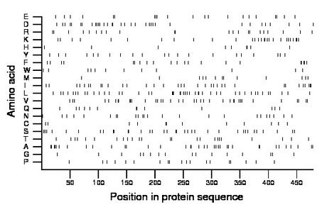 amino acid map