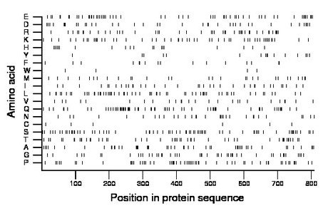 amino acid map