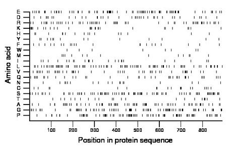 amino acid map