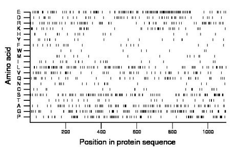 amino acid map