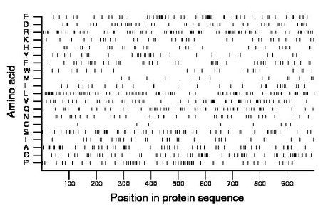 amino acid map