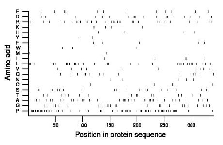 amino acid map