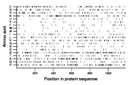 amino acid map