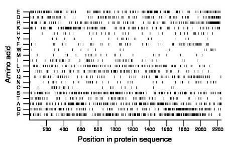 amino acid map