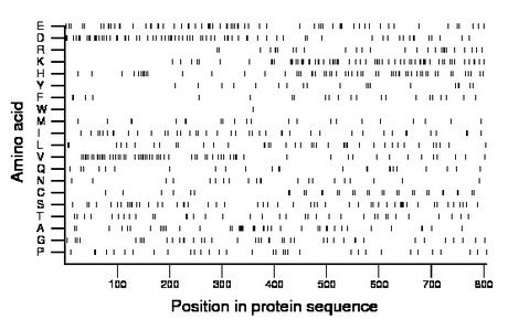 amino acid map