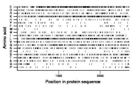 amino acid map