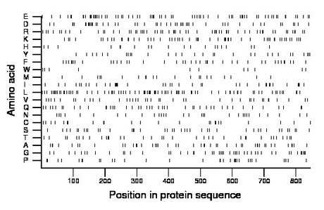 amino acid map