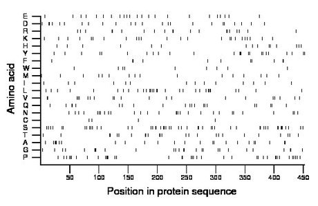 amino acid map