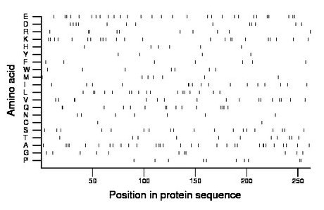 amino acid map