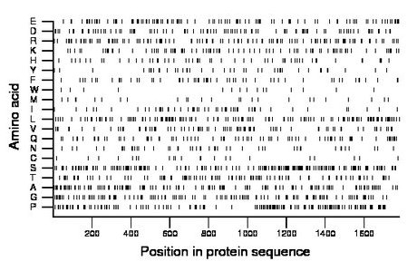 amino acid map