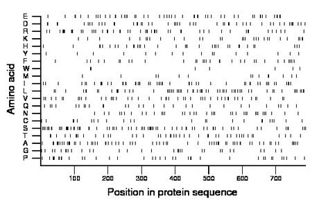 amino acid map