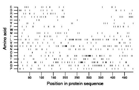 amino acid map