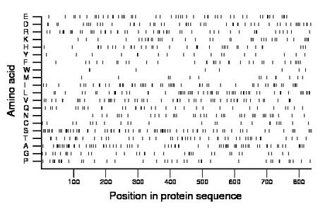 amino acid map