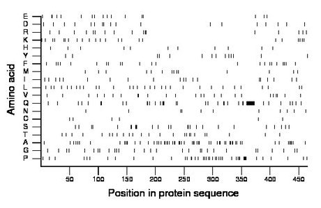 amino acid map