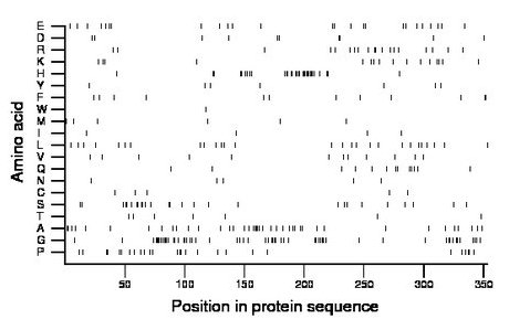 amino acid map