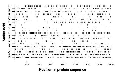 amino acid map