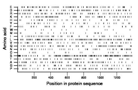 amino acid map