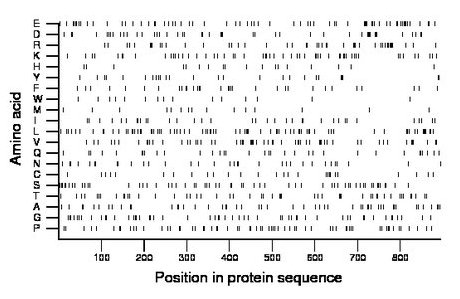 amino acid map