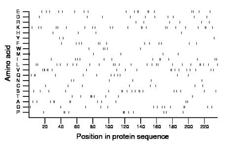 amino acid map