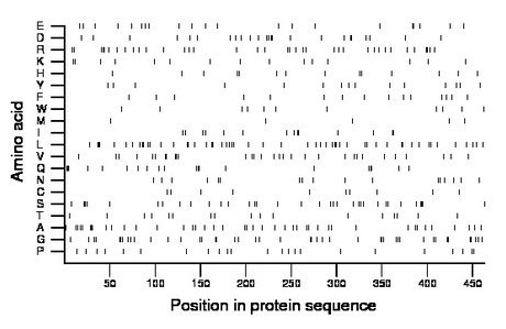 amino acid map