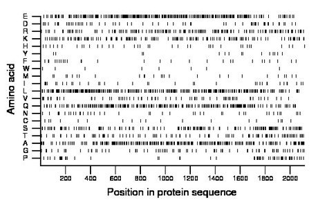 amino acid map