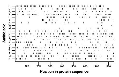 amino acid map