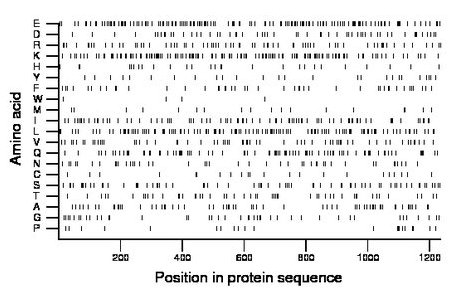 amino acid map