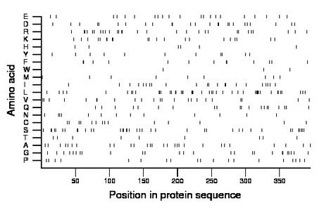 amino acid map