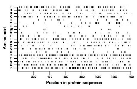 amino acid map