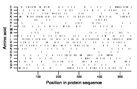 amino acid map