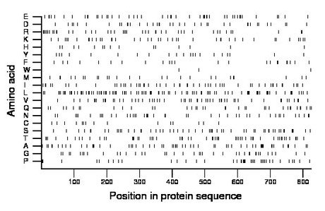 amino acid map