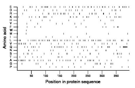 amino acid map