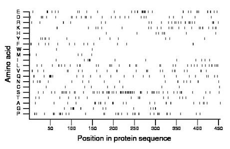 amino acid map