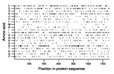 amino acid map