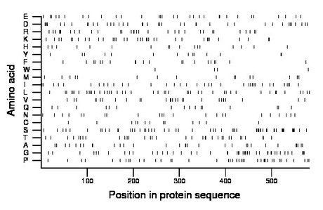 amino acid map