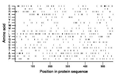 amino acid map