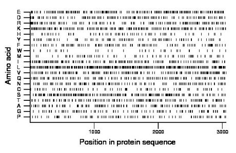 amino acid map