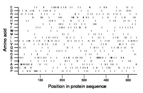 amino acid map