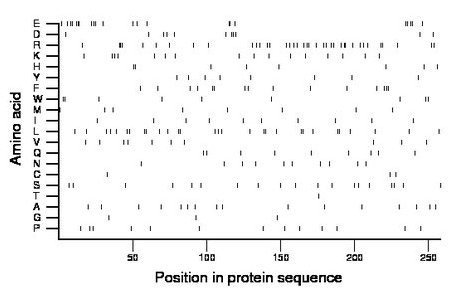 amino acid map