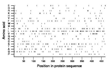 amino acid map