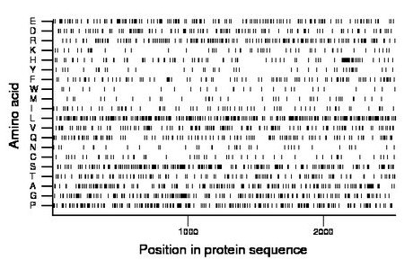 amino acid map