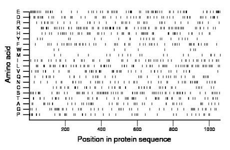 amino acid map