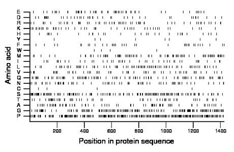 amino acid map