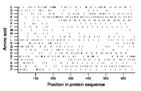 amino acid map