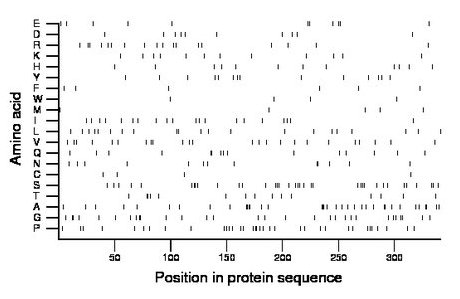 amino acid map