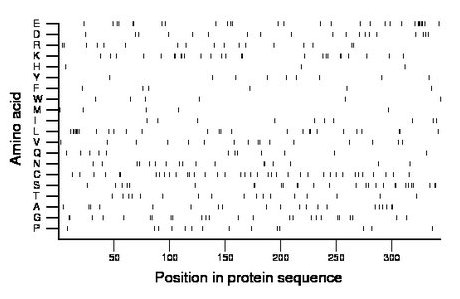 amino acid map