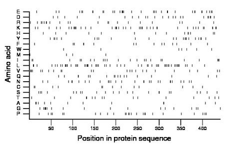 amino acid map