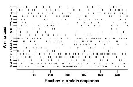 amino acid map